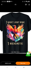 I don't just rise I reignite